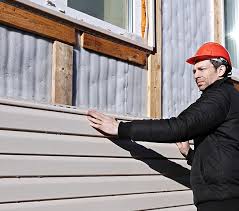 Best Historical Building Siding Restoration  in Whitewater, WI